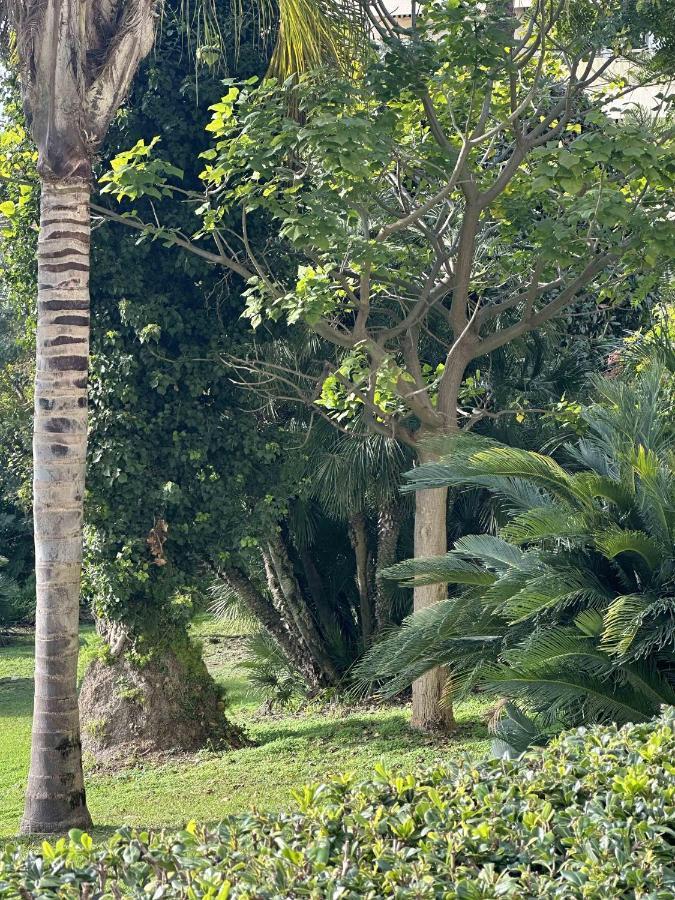 Cannes Studio Situe Dans La Residence Gallia Historique Kültér fotó